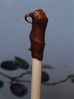 end of lollipop stick coated in chocolate