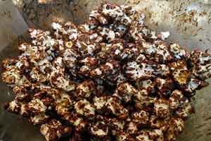 chocolate-popcorn-recipe