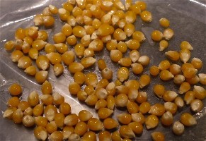 Popcorn kernels covered with cooking spray.