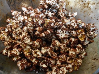 Chocolate covered popcorn.