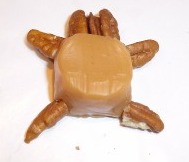 Turtle with rounded shell ready for chocolate coating.