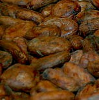 Cocoa beans photo from wikimedia.