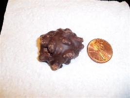 Dark chocolate cow candy next to a penny to show size.