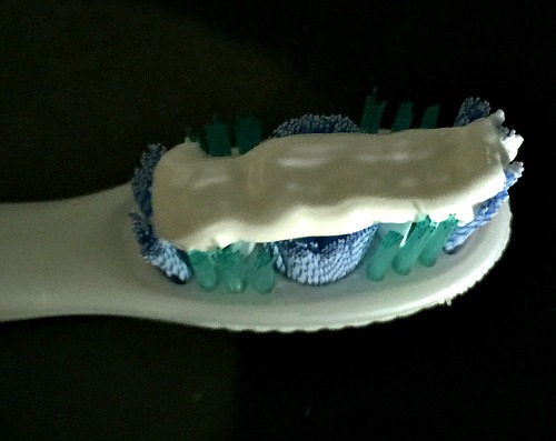 My toothbrush with a stripe of Theodent toothpaste on it.