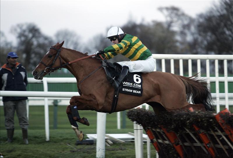 Tony McCoy jockey.  Source Wikimedia Commons