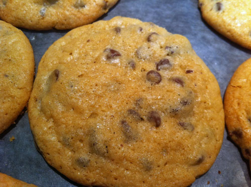 Homemade chocolate chip cookies.