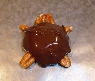 Yummy homemade chocolate turtle candy.