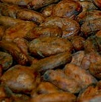 Cocoa beans photo from wikimedia.