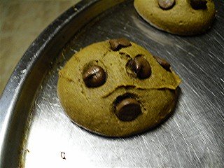 Cocoa pumpkin cookies with chocolate chips fresh from the oven.